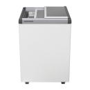 EFE 1500 | Chest freezer