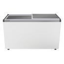 EFE 4600 | Chest freezer