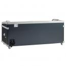 SIF600C | Chest cooler/freezer